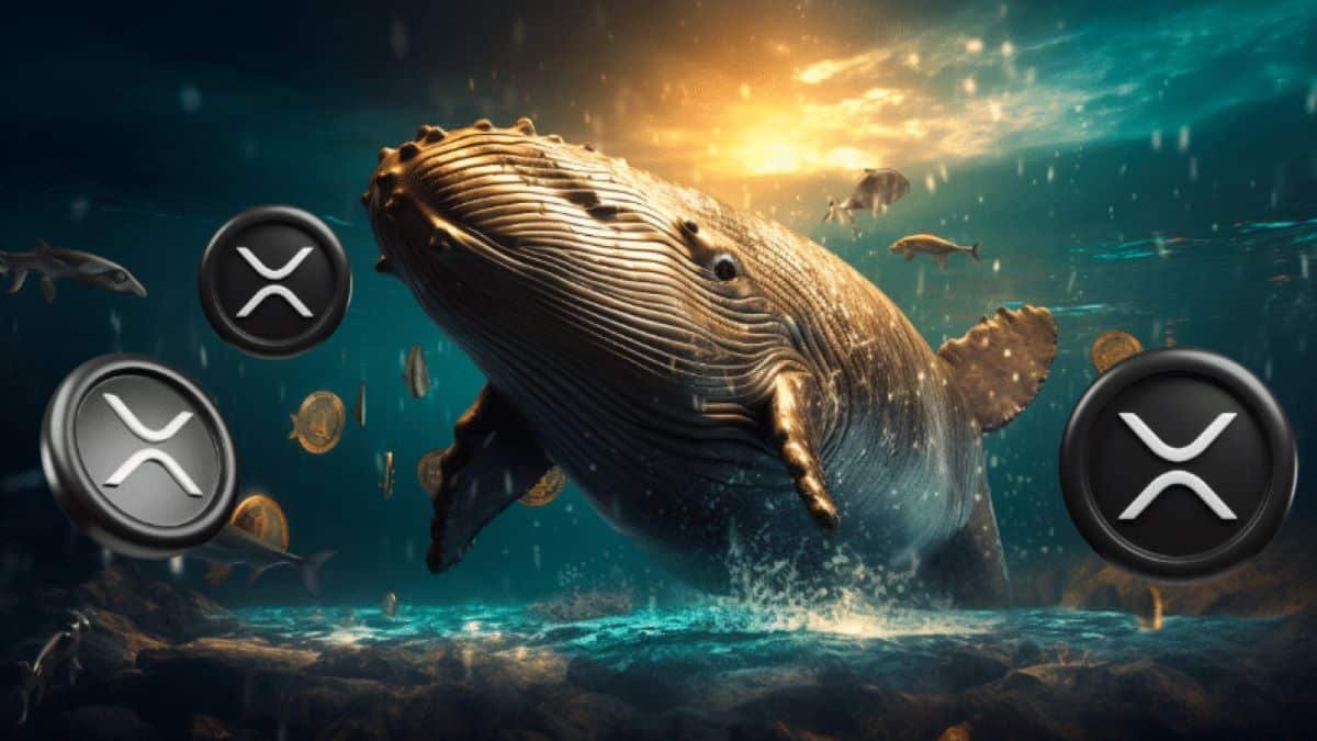 Whale Causes XRP Prices To Rise But There Is A Bad Sign