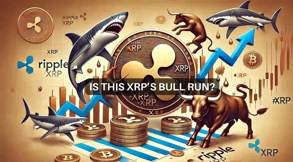 XRP Surges 39% As Sharks & Whales Push Supply Share Past 85%