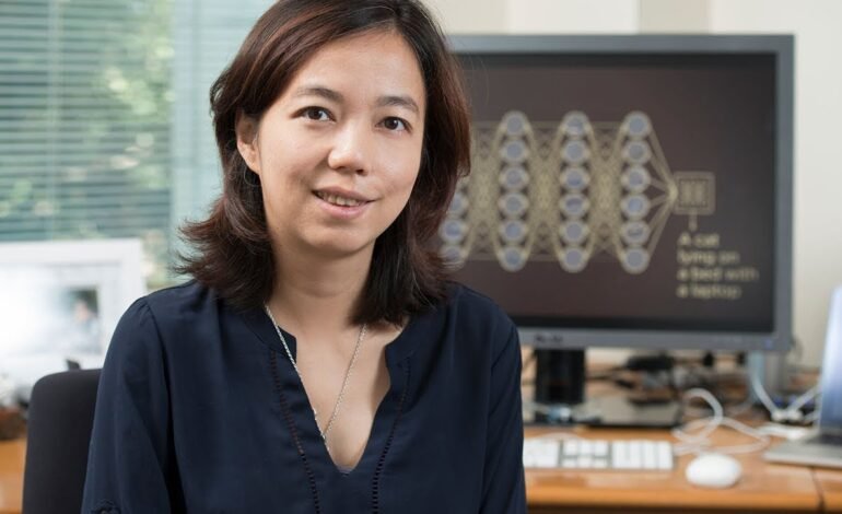 Fei-Fei Li: The Godmother of AI