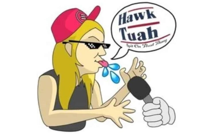 Hawk Tuah Meme Coin Prediction